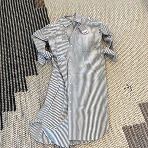Everlane shirt dress
